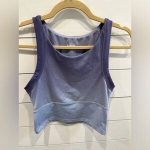 Madewell MWL Purple Ombré Crop Tank